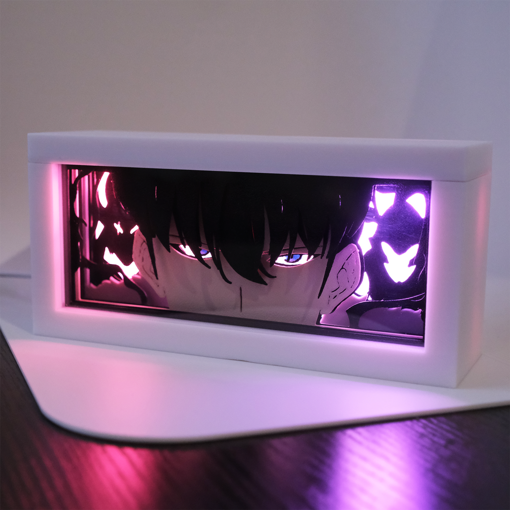 Solo Leveling Sung Jinwoo Anime Light Box