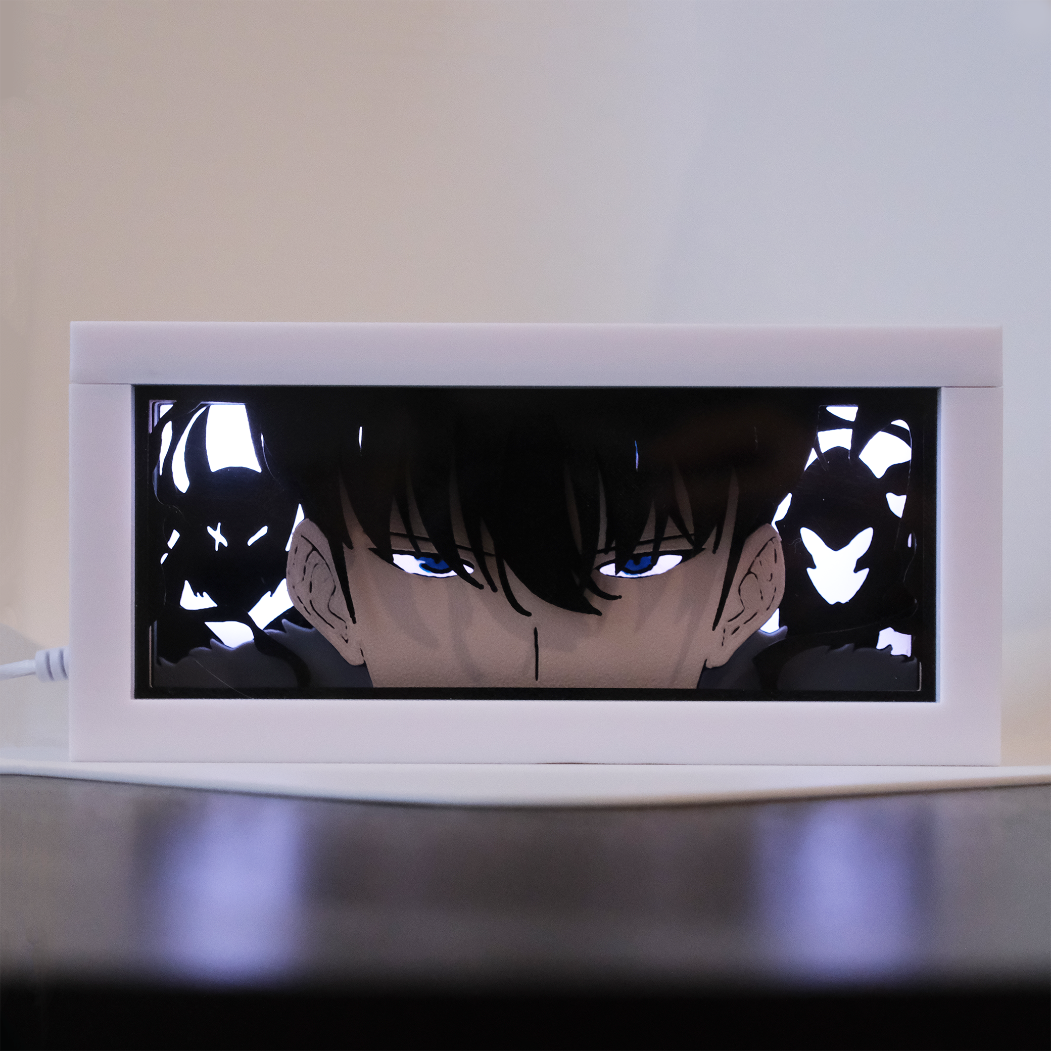 Solo Leveling Sung Jinwoo Anime Light Box