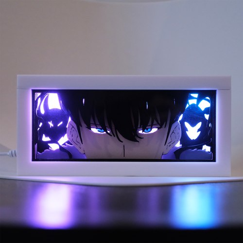 Solo Leveling Sung Jinwoo Anime Light Box