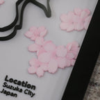 Pink flower-shaped sakura petals on a white abckground with 'Location Suzuka City Japan' text.